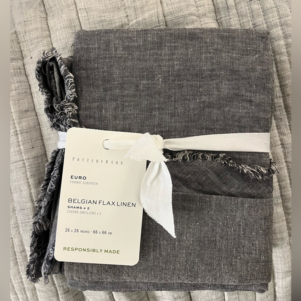 Pottery barn set of 2 euro shams